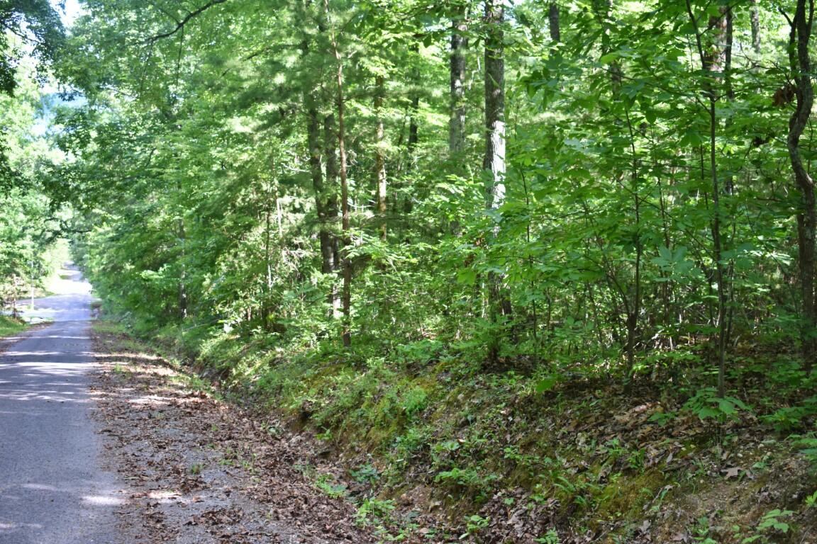 Lot 262 Chestnut Dr Spring Spring City, TN 37381 - Photo 5 of 11 DSC_0170 (Medium)