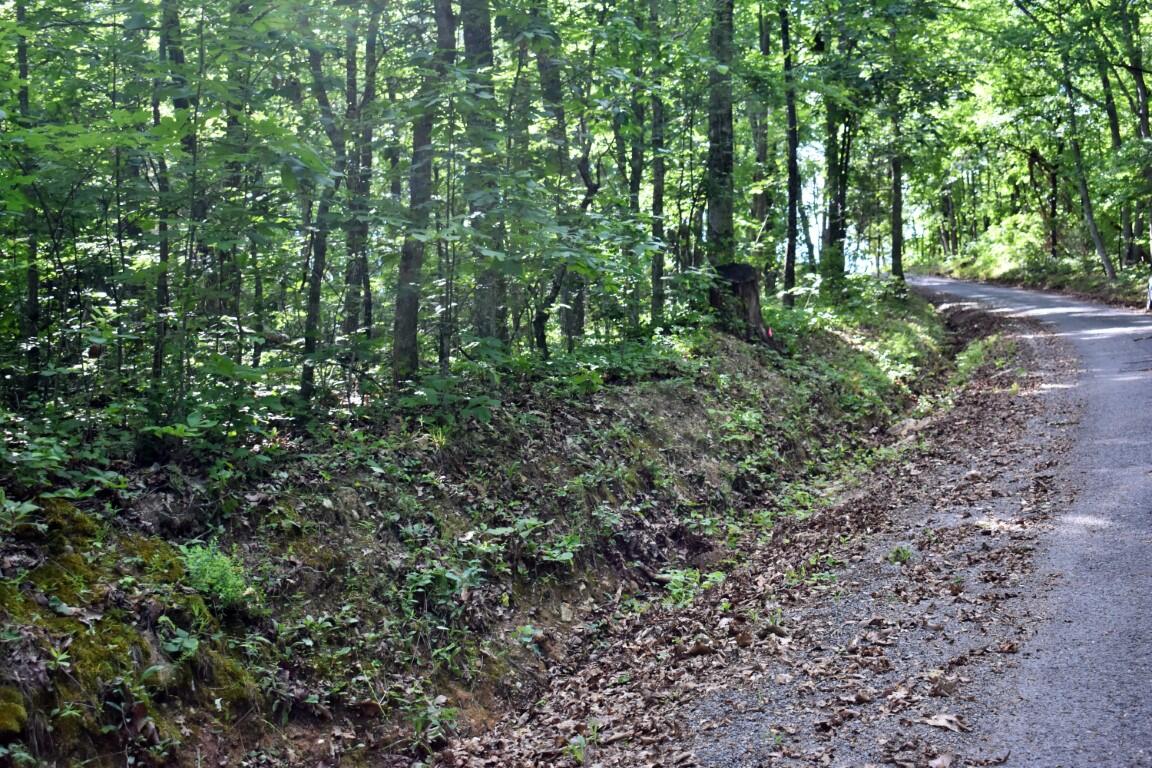 Lot 262 Chestnut Dr Spring Spring City, TN 37381 - Photo 6 of 11 DSC_0171 (Medium)