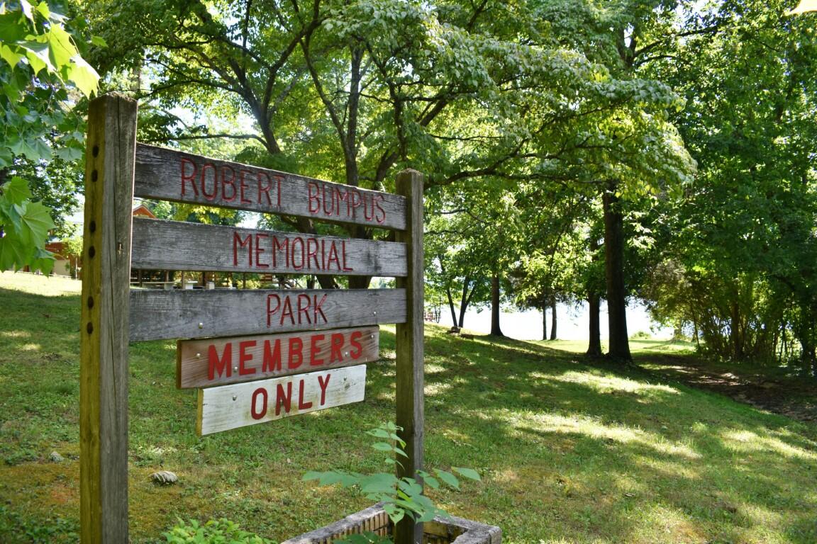 Lot 262 Chestnut Dr Spring Spring City, TN 37381 - Photo 7 of 11 DSC_0173 (Medium)