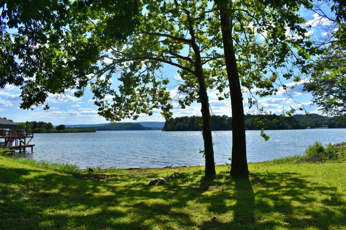 Lot 262 Chestnut Dr Spring Spring City, TN 37381 - Photo 9 of 11 DSC_0181 (Medium)