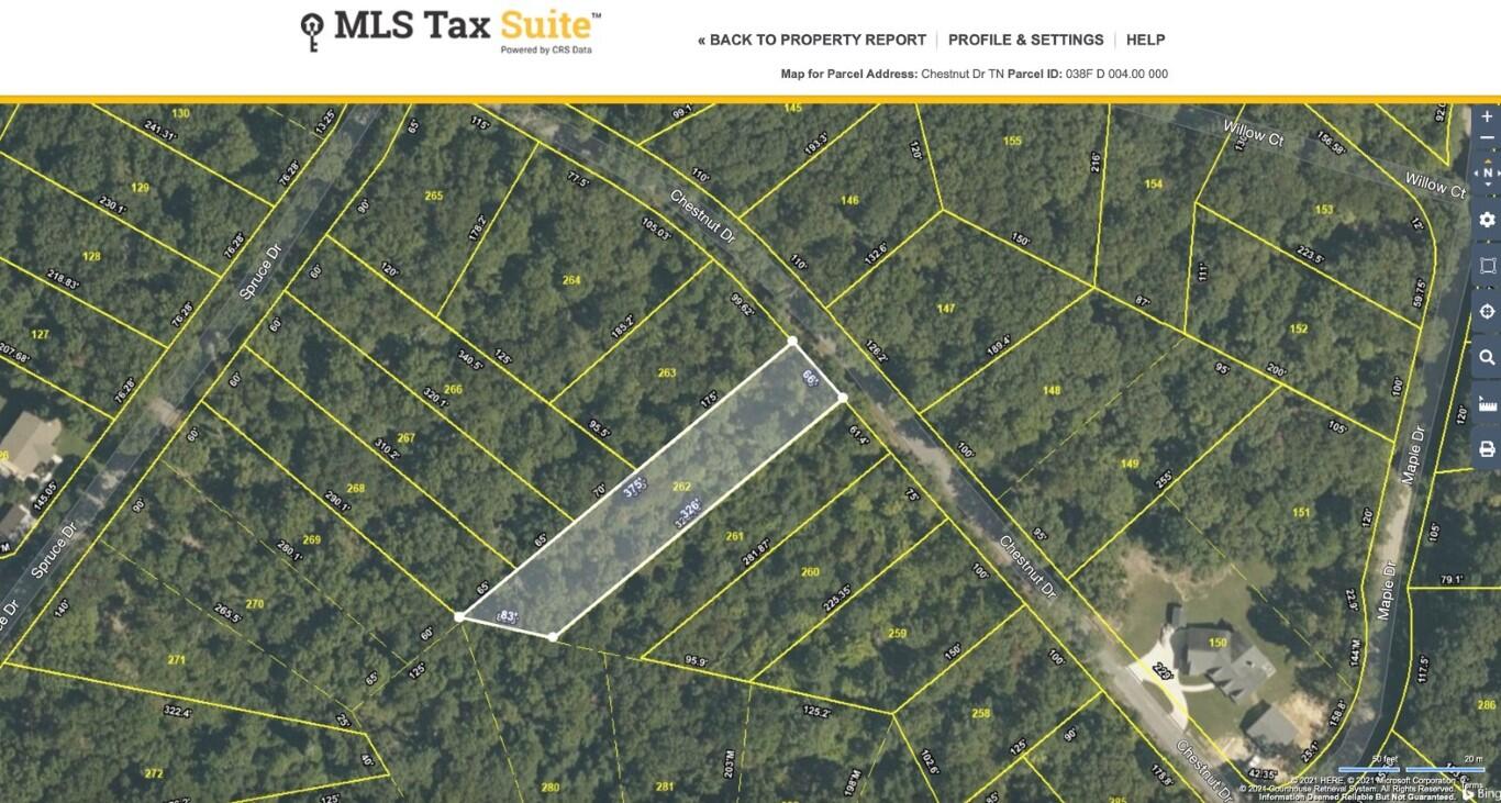 Lot 262 Chestnut Dr Spring Spring City, TN 37381 - Photo 10 of 11 Lot 262 Chestnut Overview (Medium)