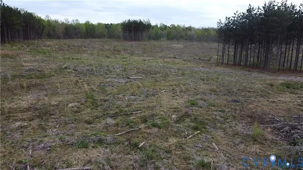 a view of a field with trees in the background