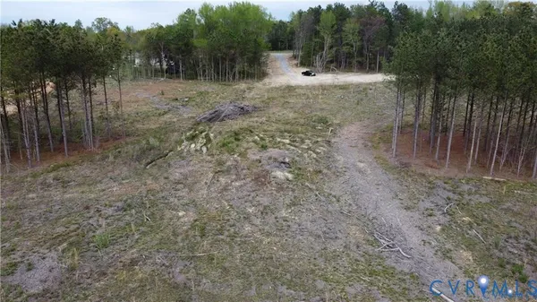 a view of a forest with trees in the background