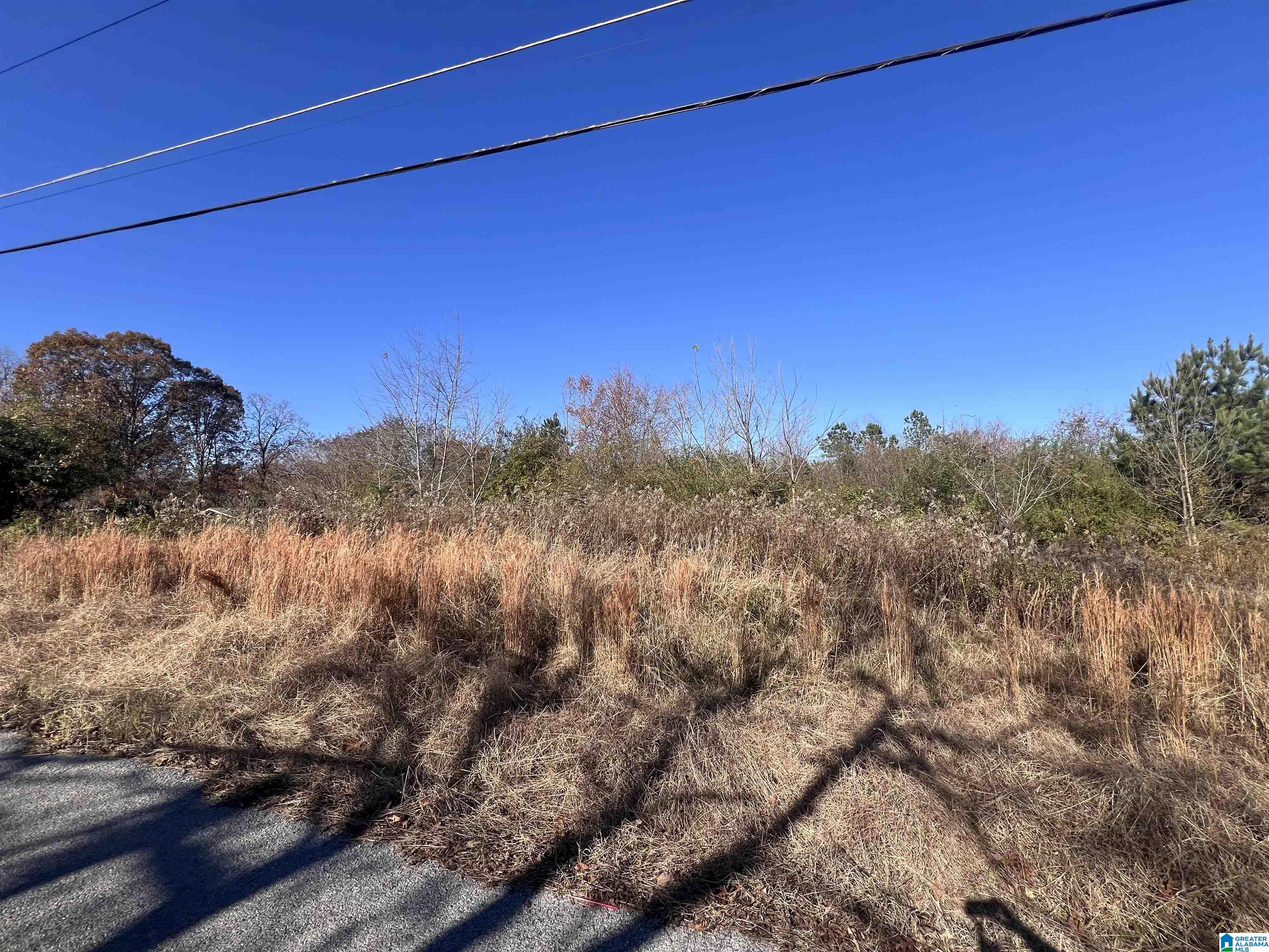 0 Coosa Island Road, Unit 23 AND 24 Cropwell, AL 35054 - Photo 15 of 23