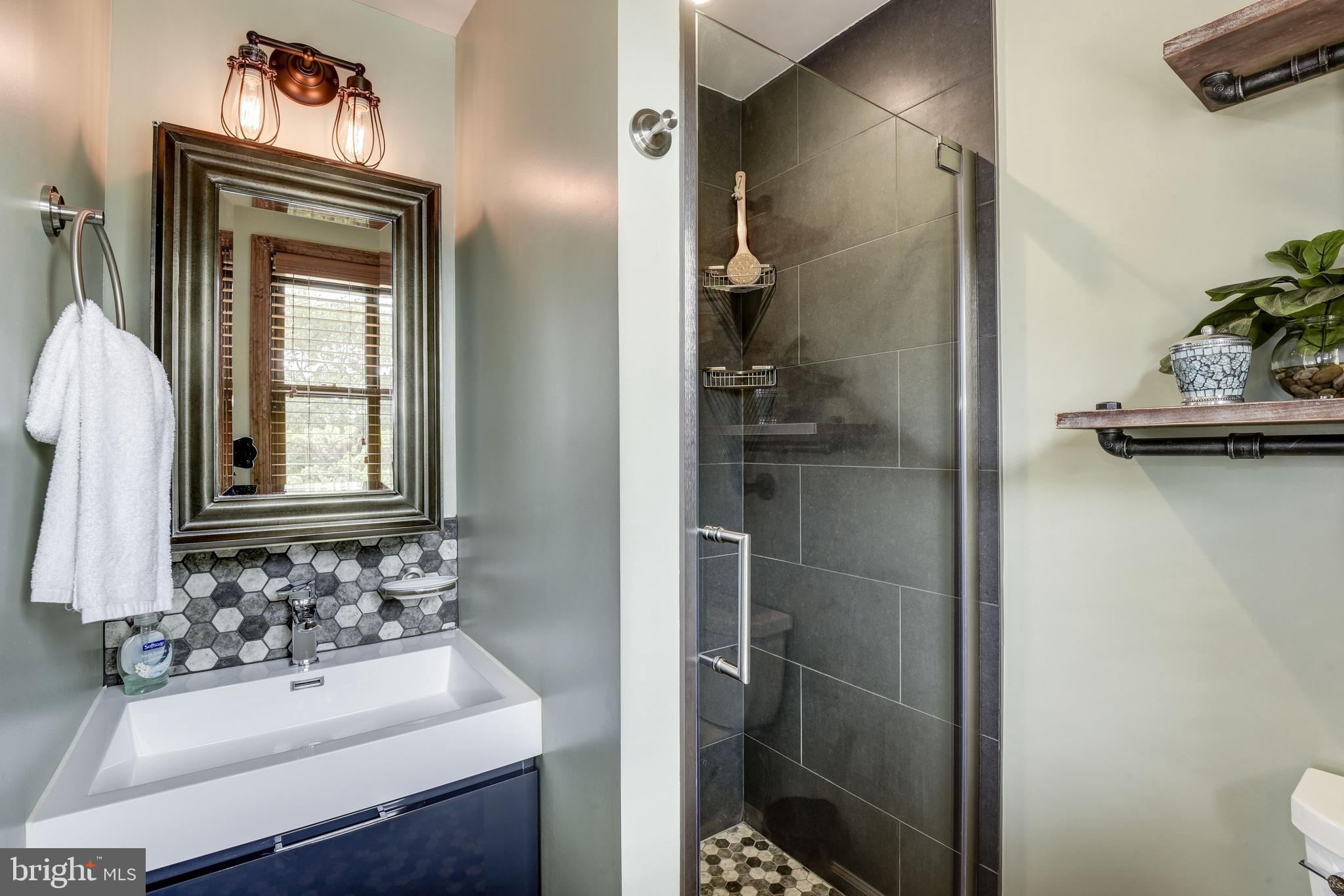 323 Oglethorpe Street Northwest Washington, DC 20011 - Photo 12 of 21 Master Bath