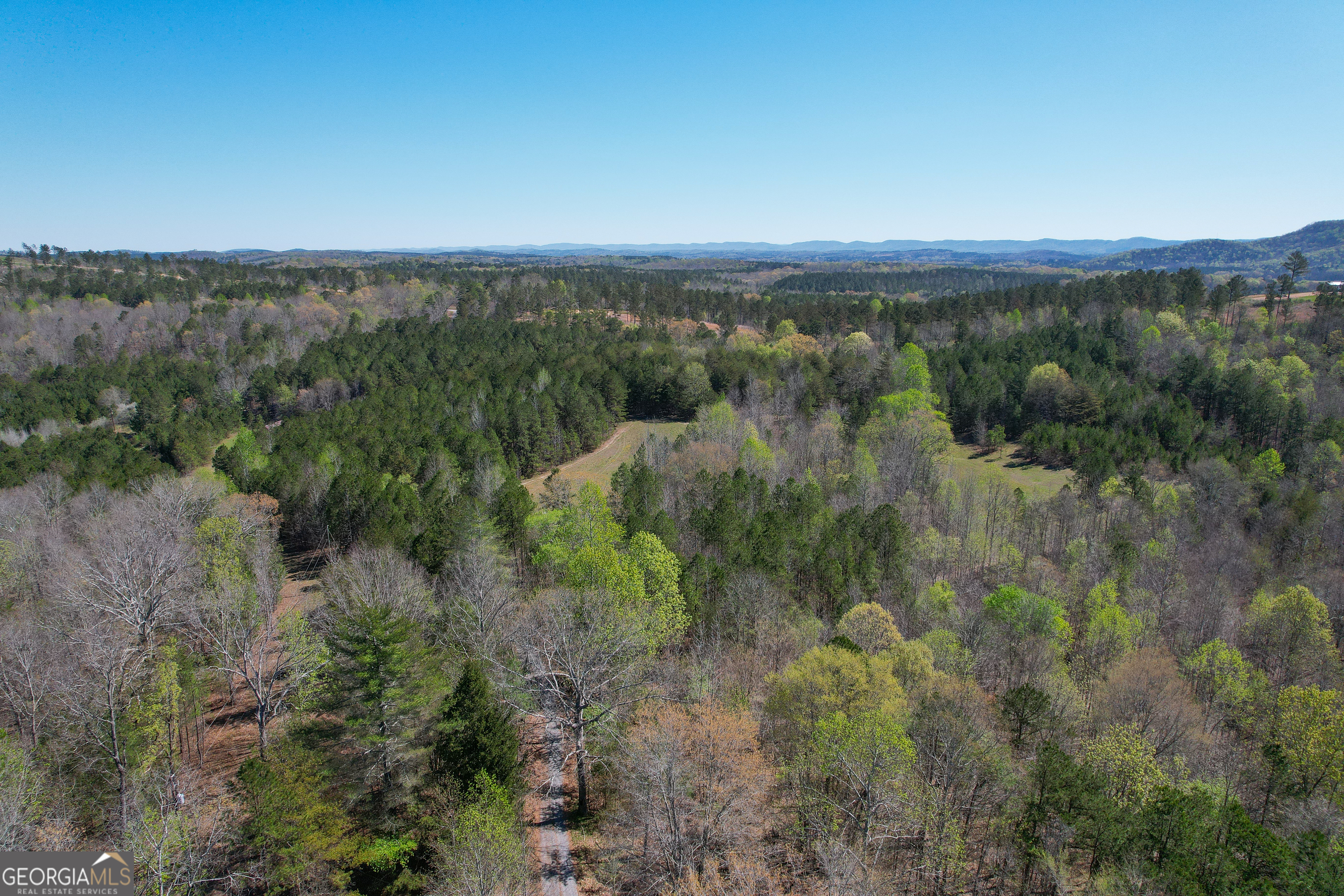 65 Acres On Half Mile Road Lyerly, GA 30730 - Photo 11 of 51 an aerial view of forest