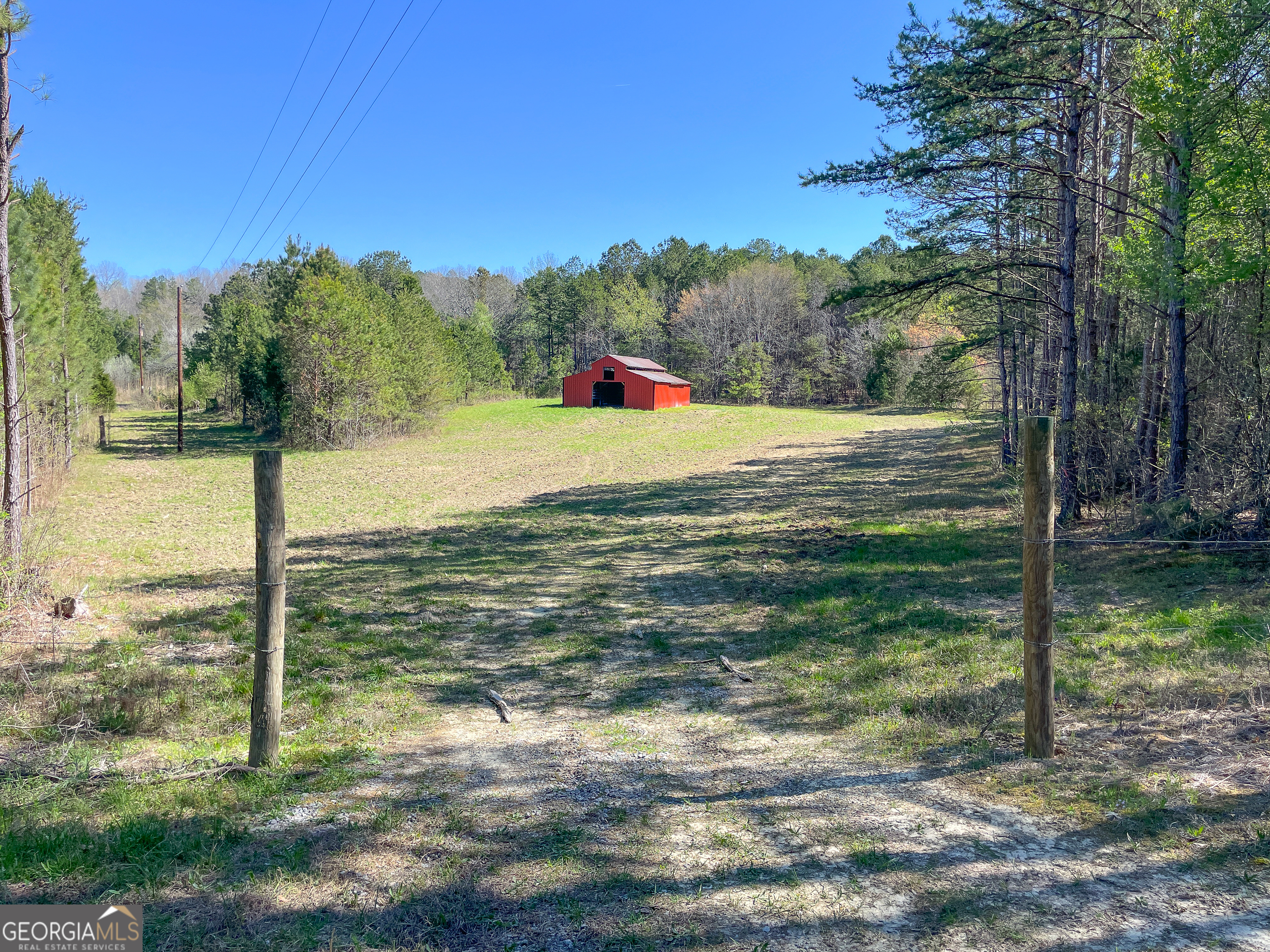 65 Acres On Half Mile Road Lyerly, GA 30730 - Photo 12 of 51 a view of a yard with a tree
