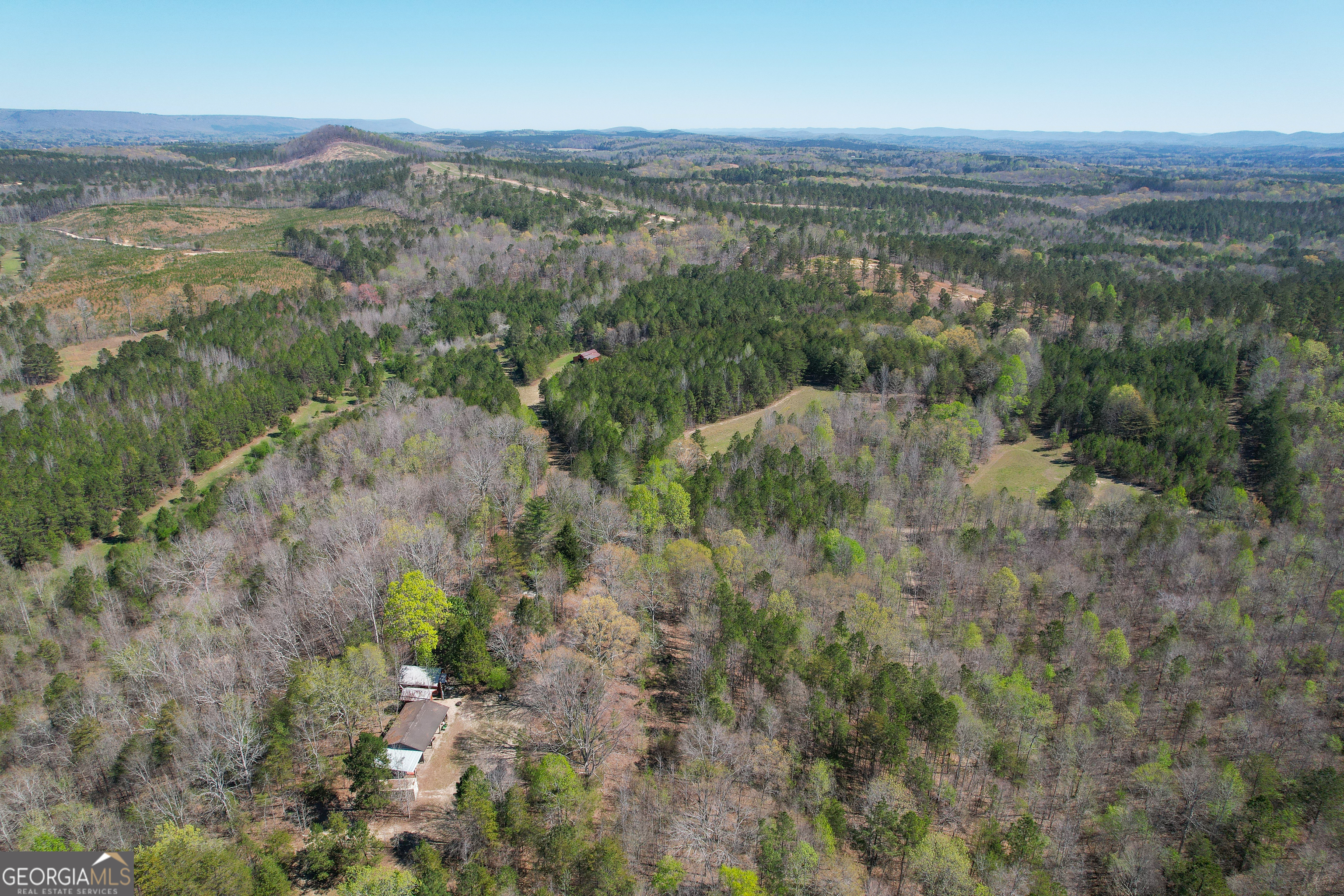 65 Acres On Half Mile Road Lyerly, GA 30730 - Photo 13 of 51 a view of a city with lush green forest