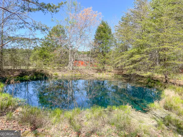 $479,900 | 65 Acres On Half Mile Road, Lyerly, GA 30730