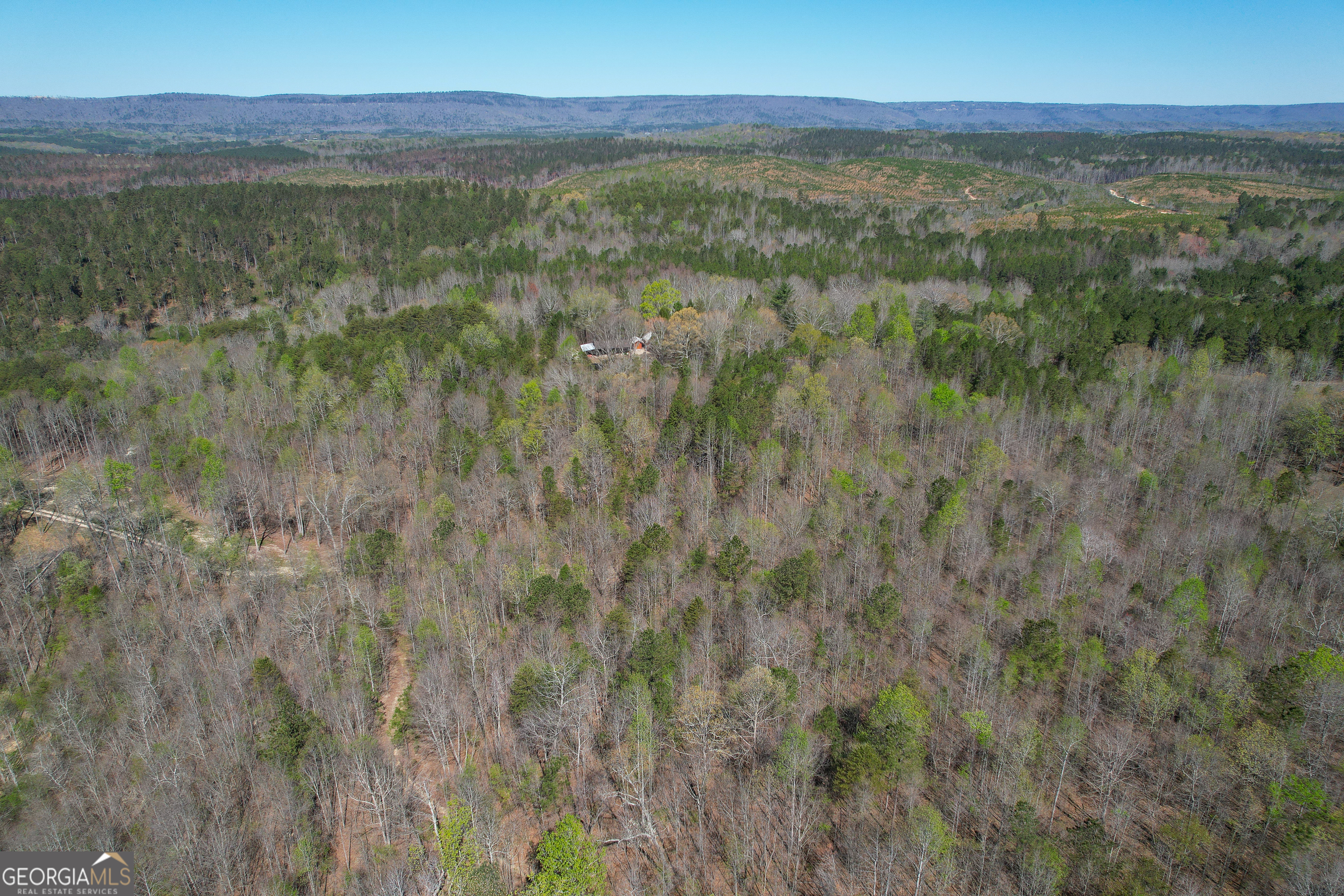 65 Acres On Half Mile Road Lyerly, GA 30730 - Photo 21 of 51 a view of a lush green space with sea