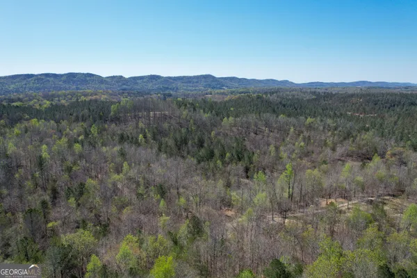 $479,900 | 65 Acres On Half Mile Road, Lyerly, GA 30730