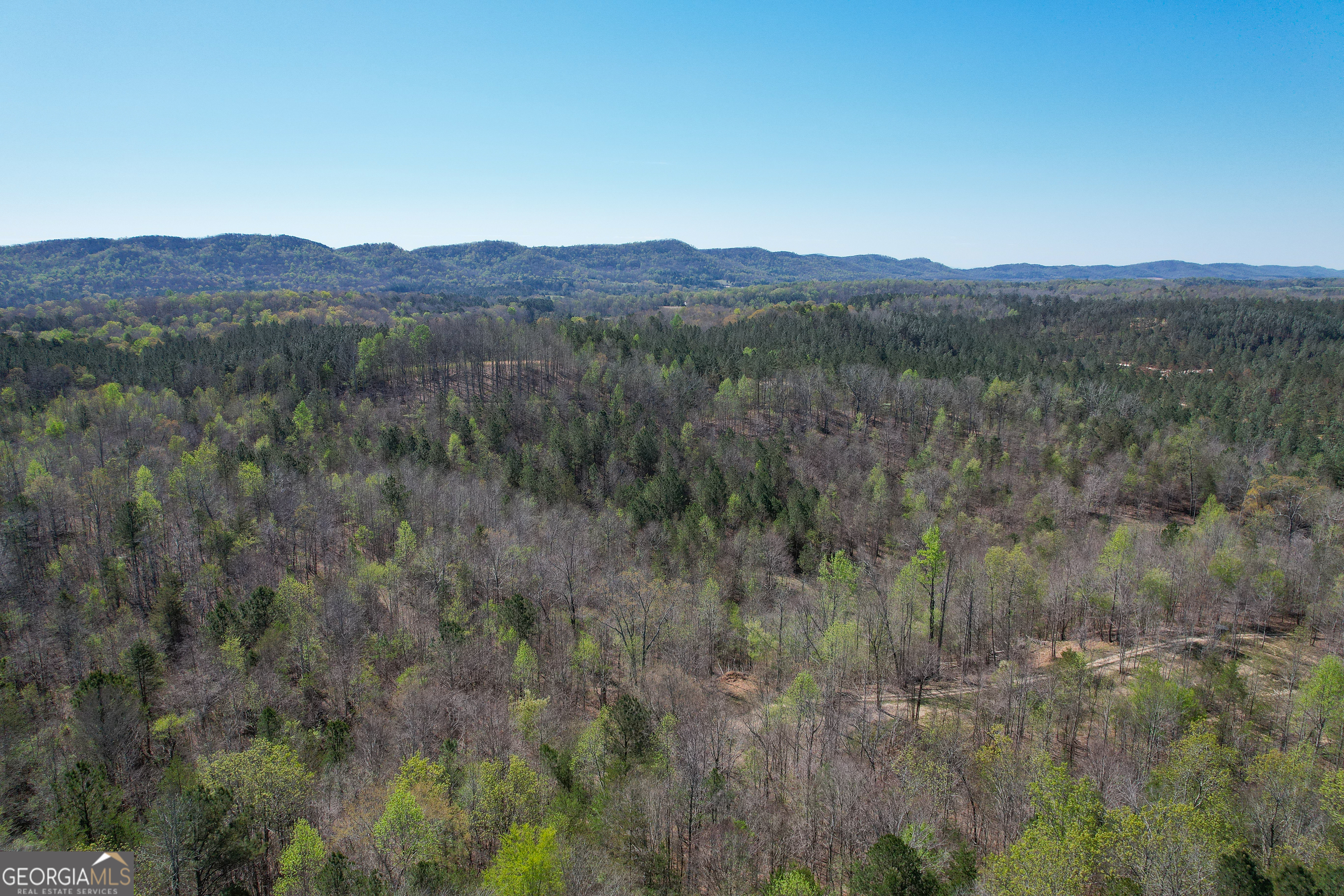 65 Acres On Half Mile Road Lyerly, GA 30730 - Photo 29 of 51 a view of a mountain in the distance
