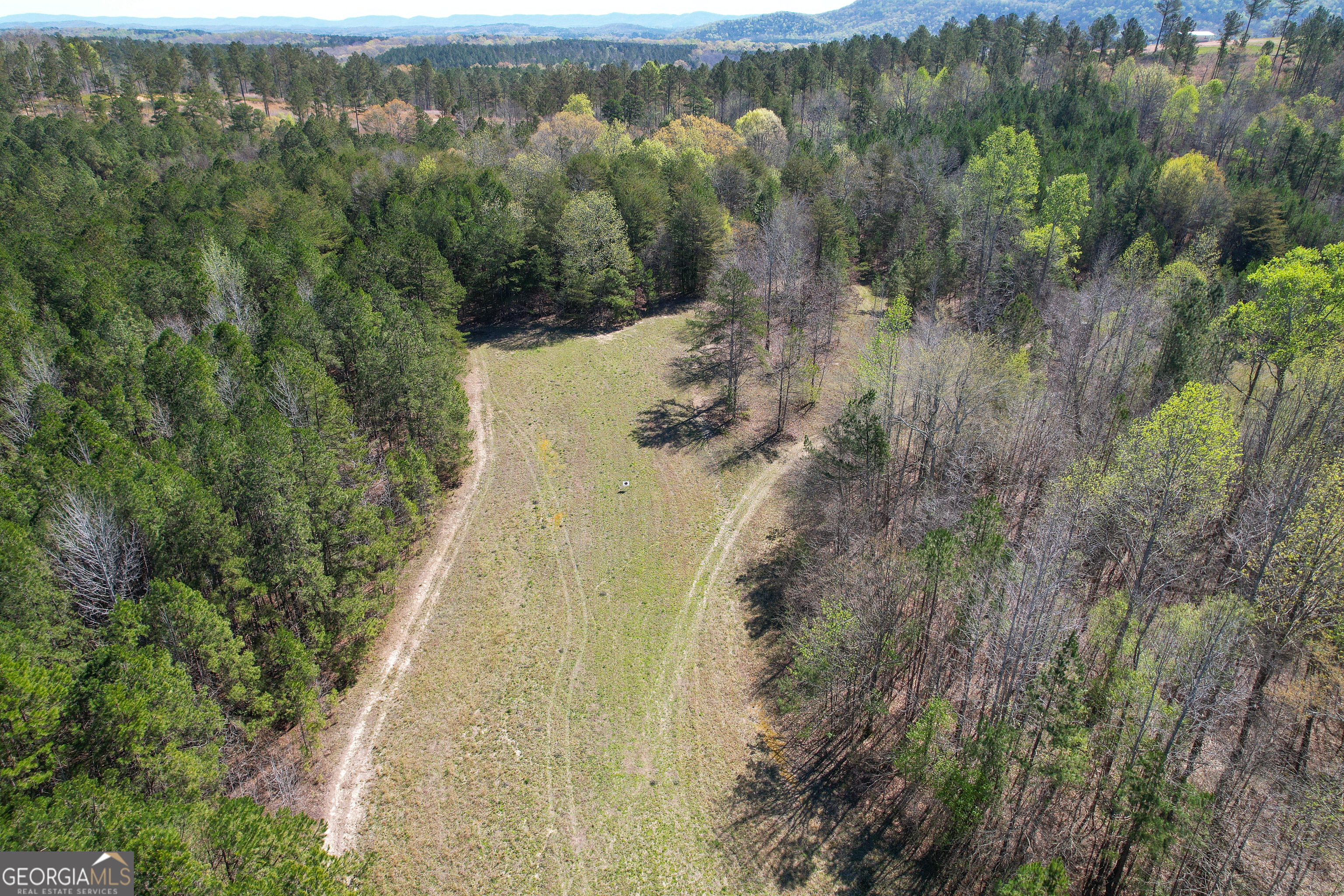 65 Acres On Half Mile Road Lyerly, GA 30730 - Photo 36 of 51 a view of a yard with plants and large trees