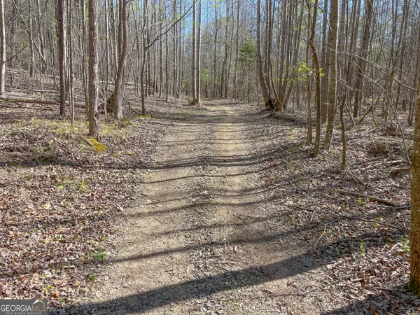 $479,900 | 65 Acres On Half Mile Road, Lyerly, GA 30730
