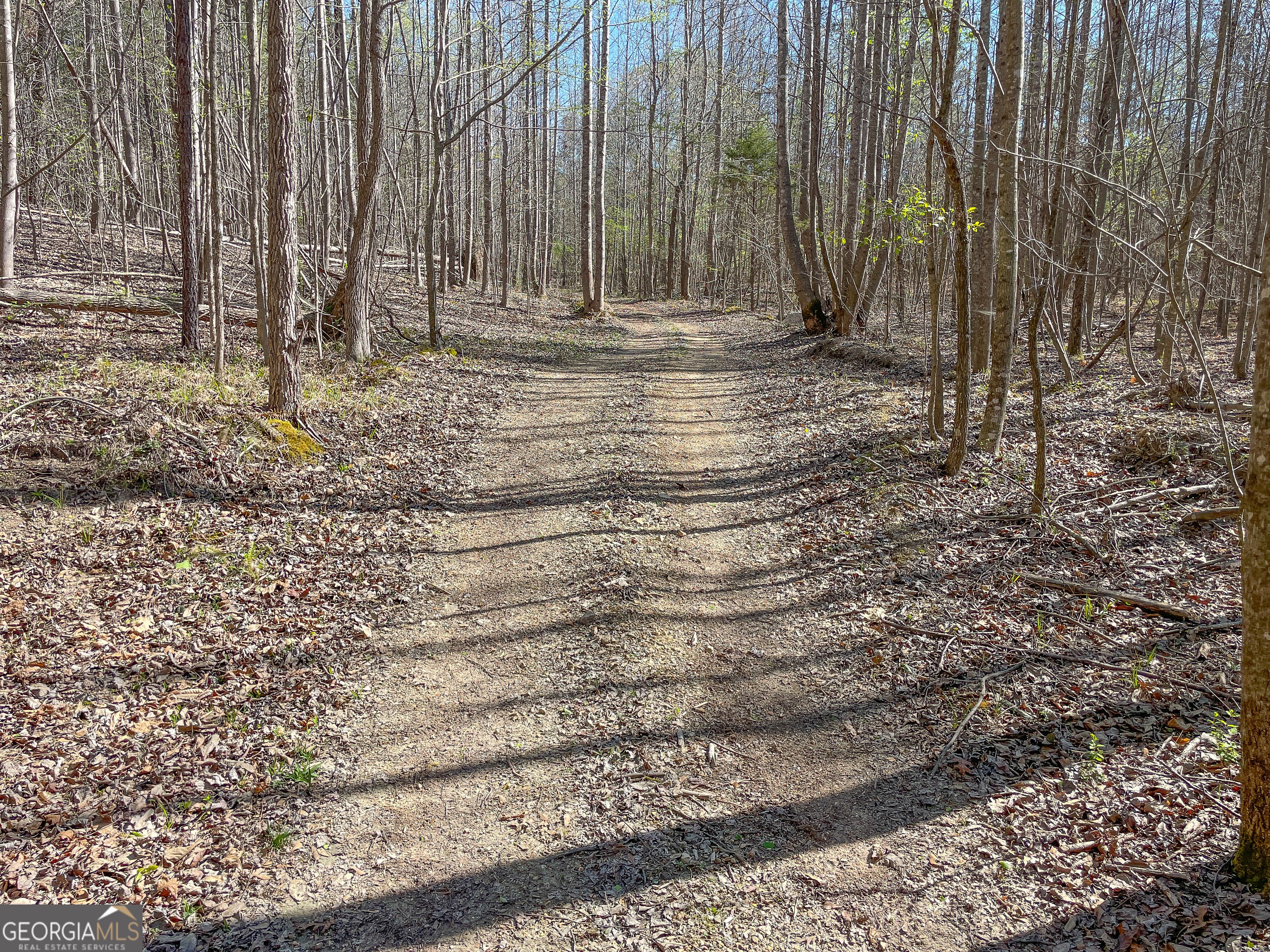 65 Acres On Half Mile Road Lyerly, GA 30730 - Photo 40 of 51 a view of a backyard with trees
