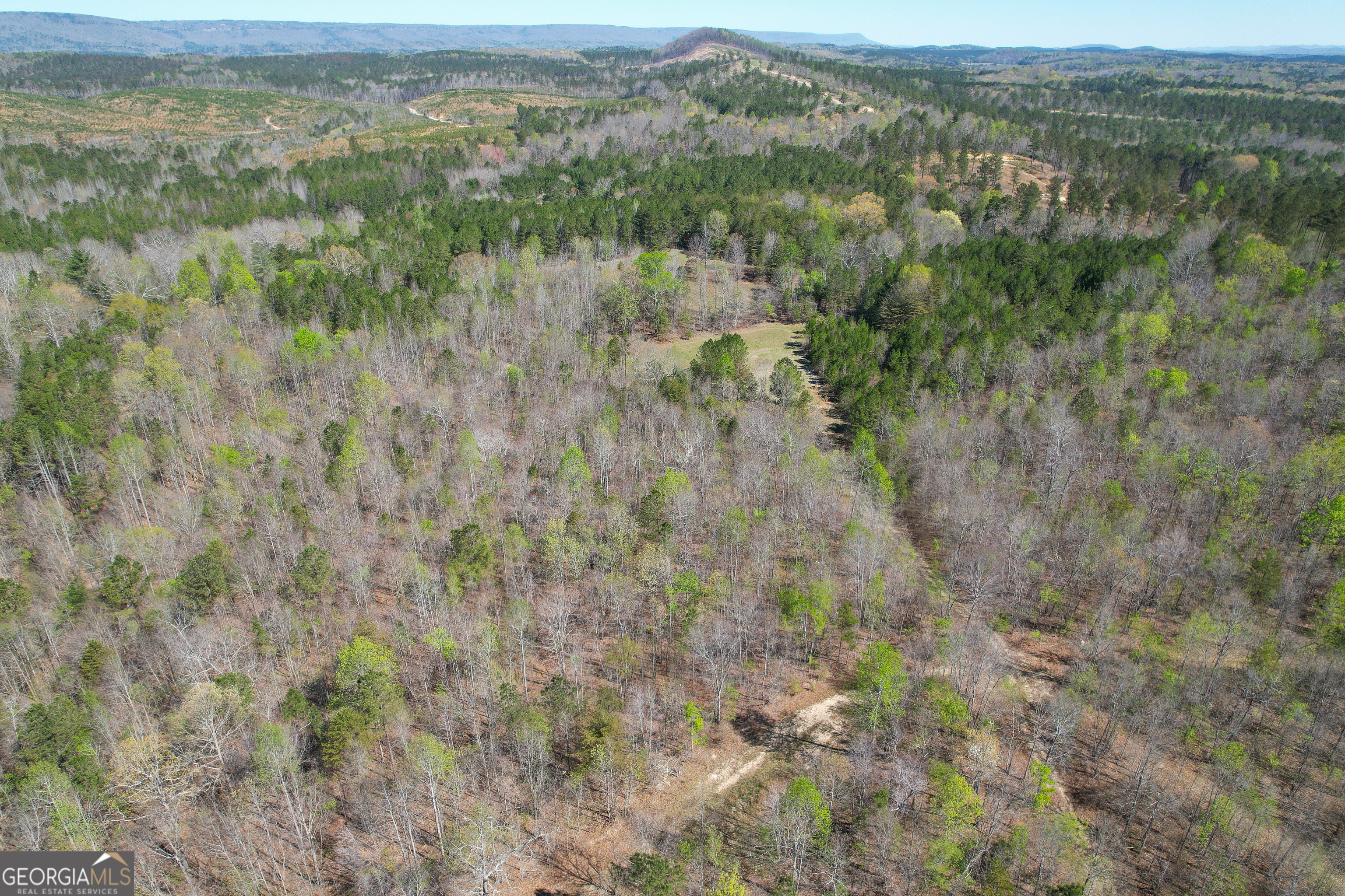 65 Acres On Half Mile Road Lyerly, GA 30730 - Photo 41 of 51 a view of a forest with an outdoor space