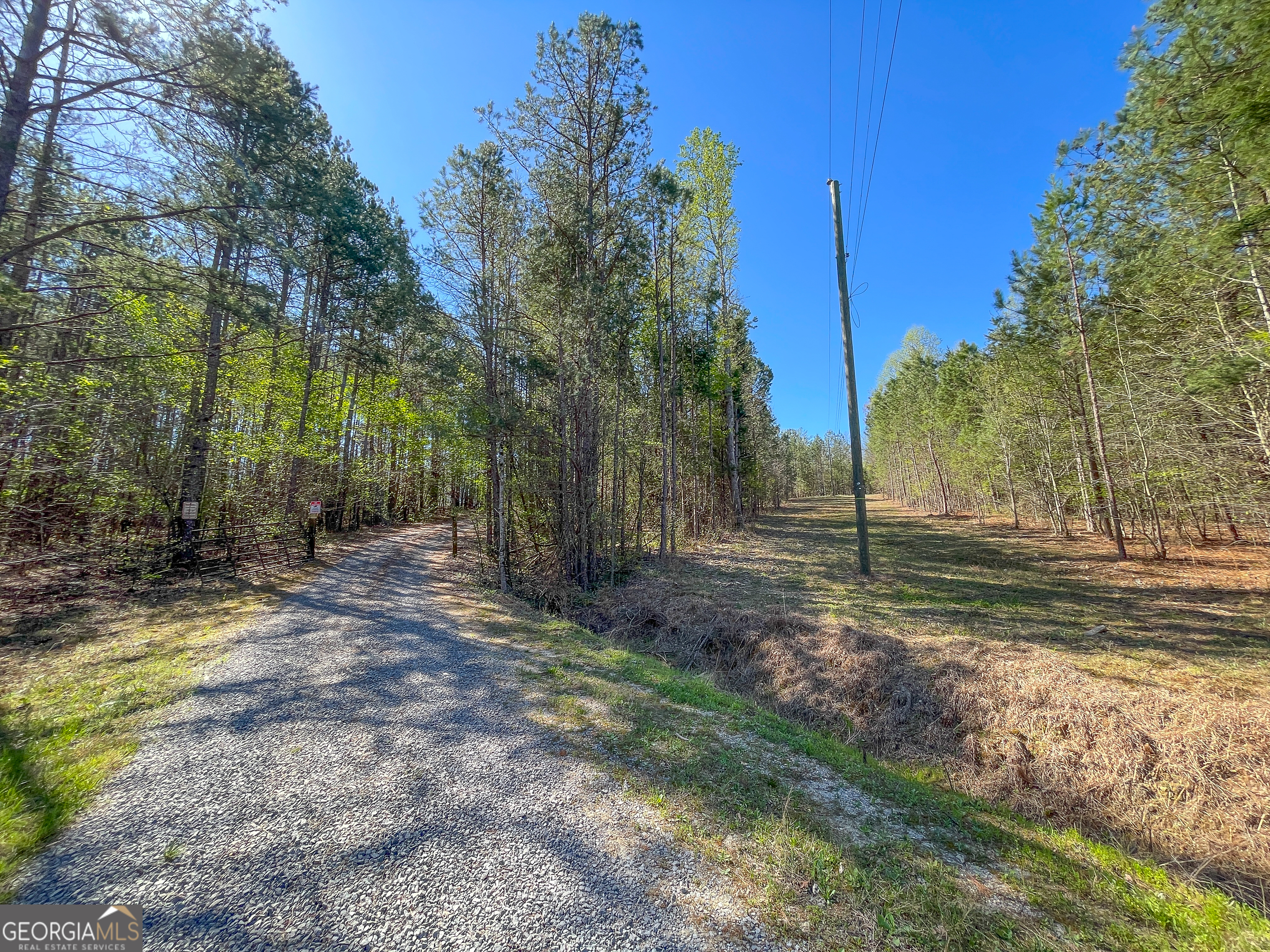 65 Acres On Half Mile Road Lyerly, GA 30730 - Photo 45 of 51 a view of a yard with tree s