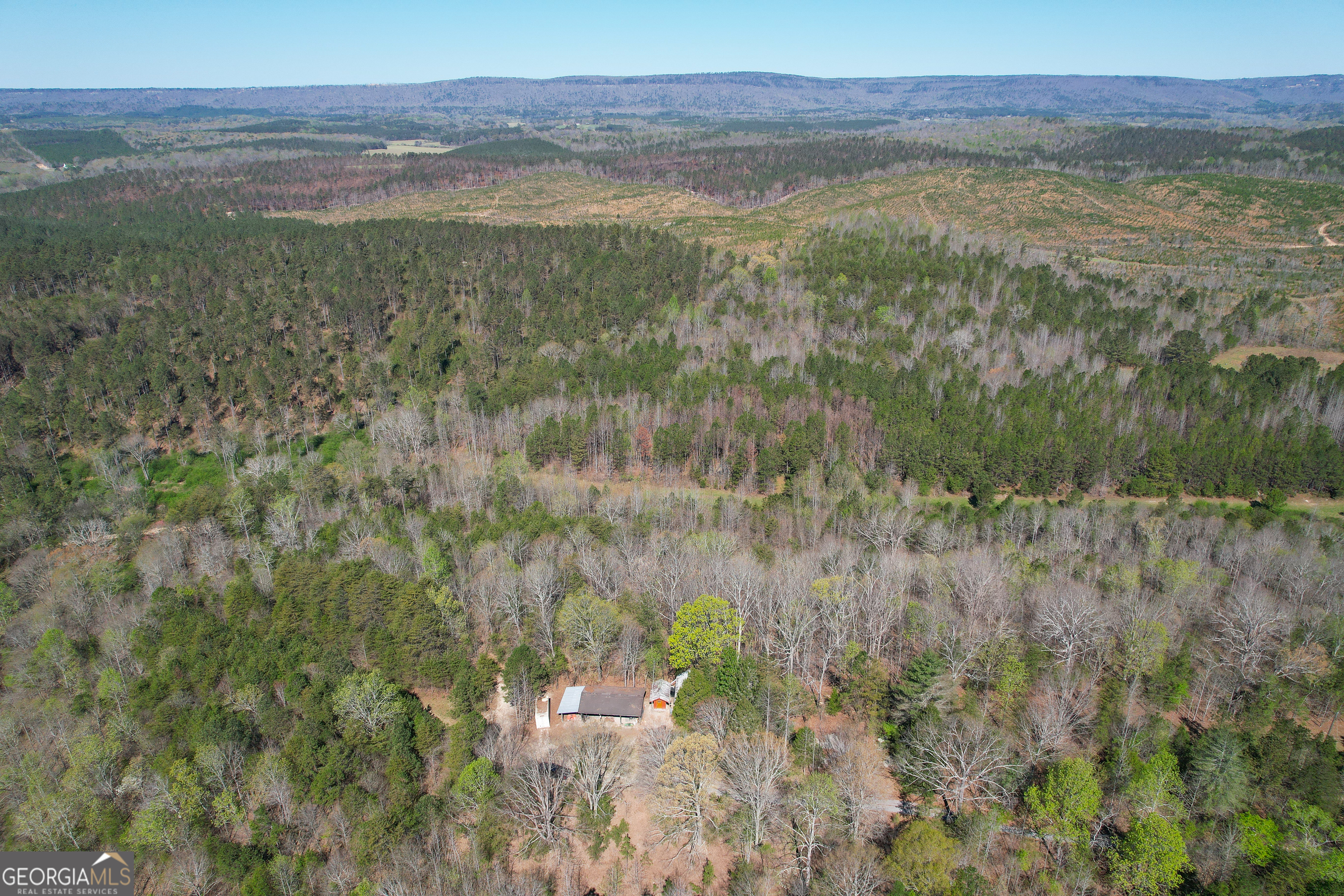 65 Acres On Half Mile Road Lyerly, GA 30730 - Photo 46 of 51 a view of lake with mountain view