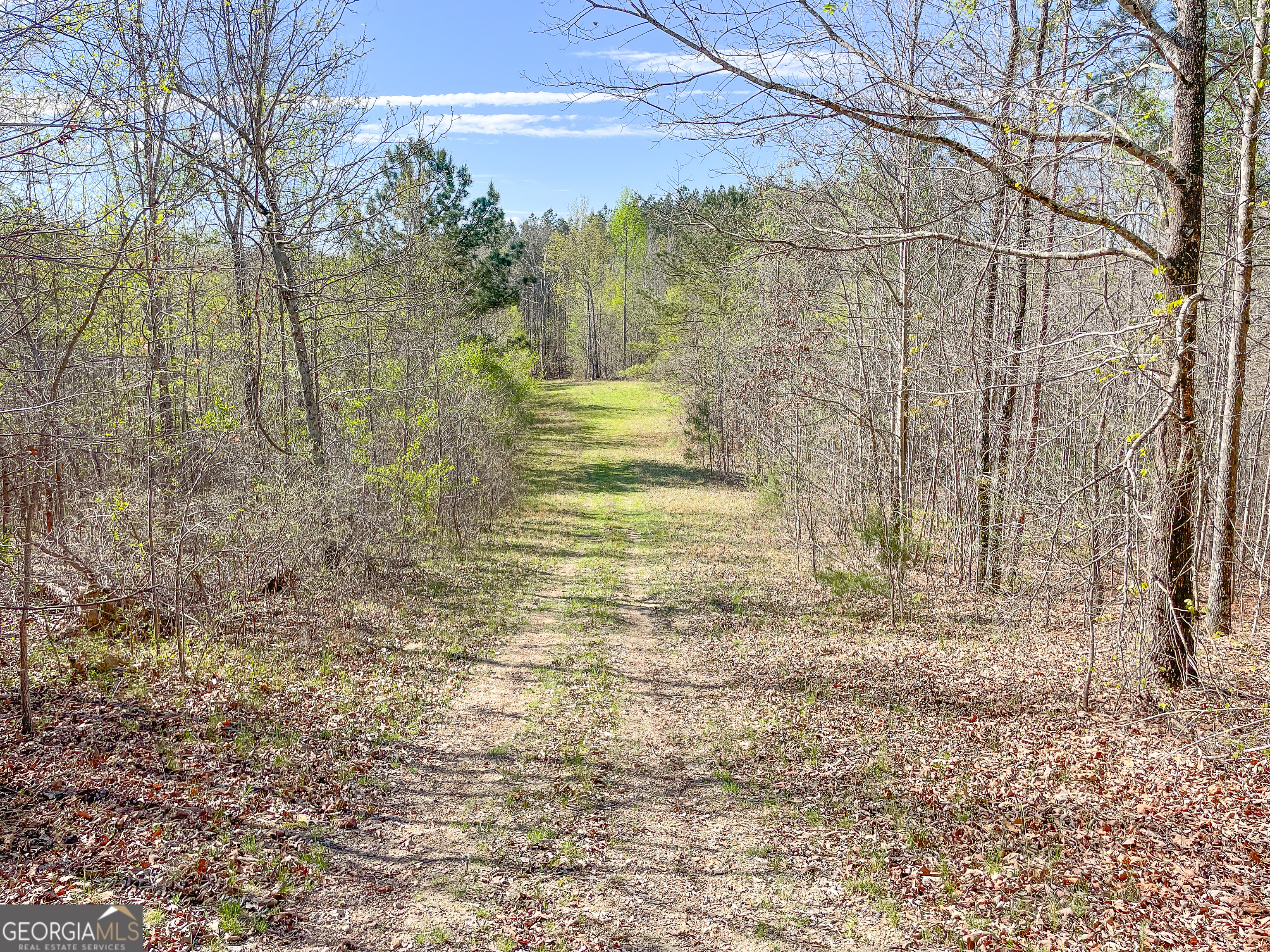 65 Acres On Half Mile Road Lyerly, GA 30730 - Photo 47 of 51 a view of a yard with wooden fence