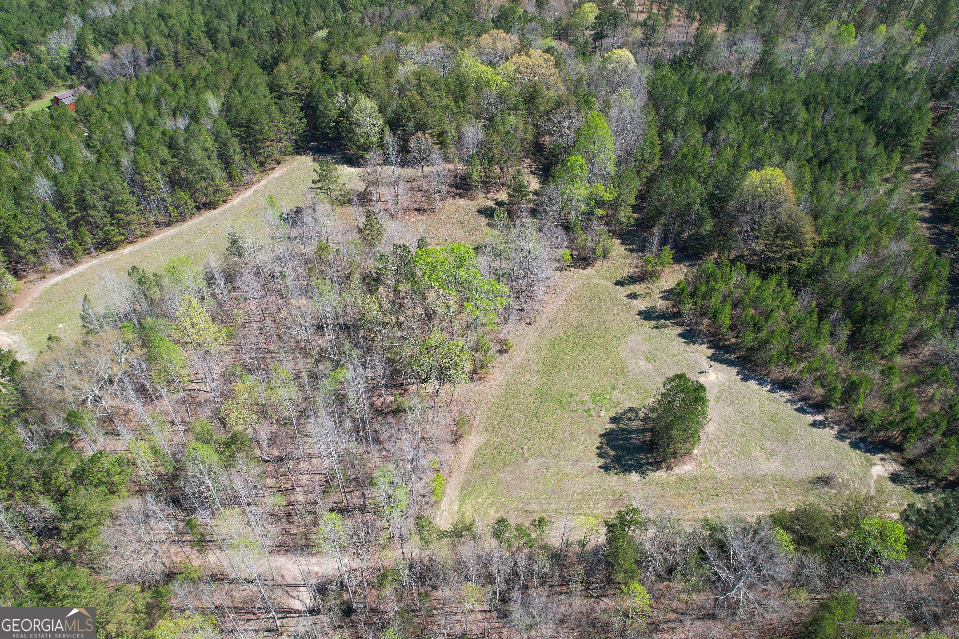 65 Acres On Half Mile Road Lyerly, GA 30730 - Photo 5 of 51 a view of a backyard of a house with a yard
