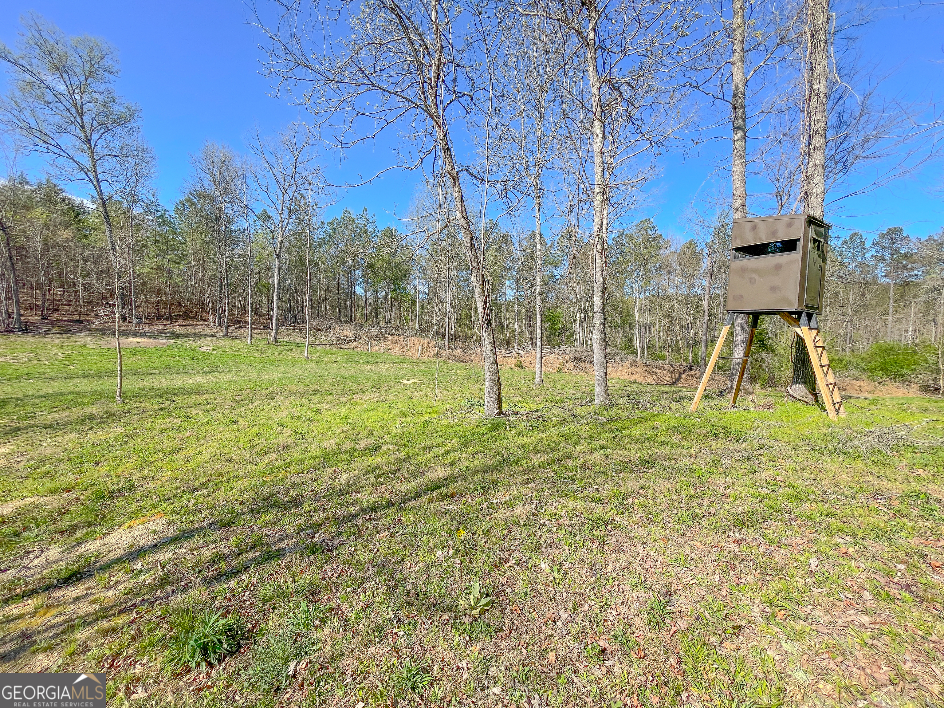 65 Acres On Half Mile Road Lyerly, GA 30730 - Photo 6 of 51 a view of a park with a slide