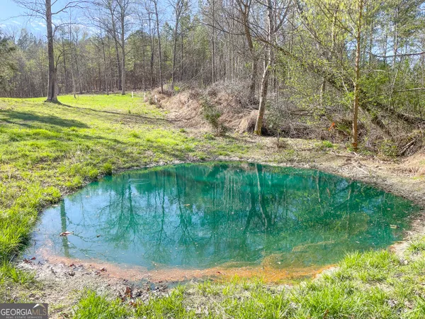 $479,900 | 65 Acres On Half Mile Road, Lyerly, GA 30730