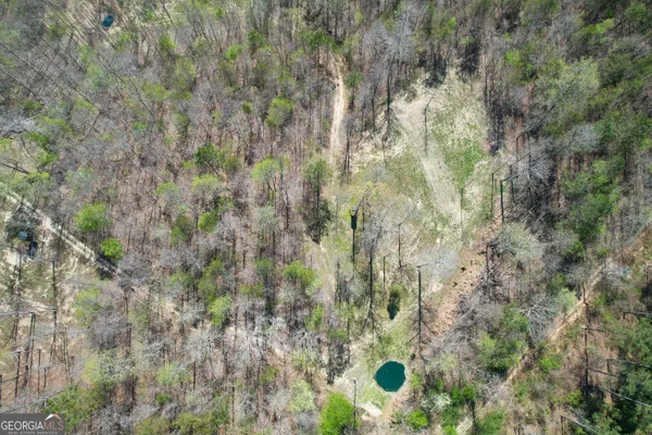 $479,900 | 65 Acres On Half Mile Road, Lyerly, GA 30730