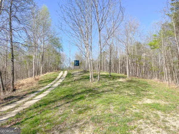 $479,900 | 65 Acres On Half Mile Road, Lyerly, GA 30730