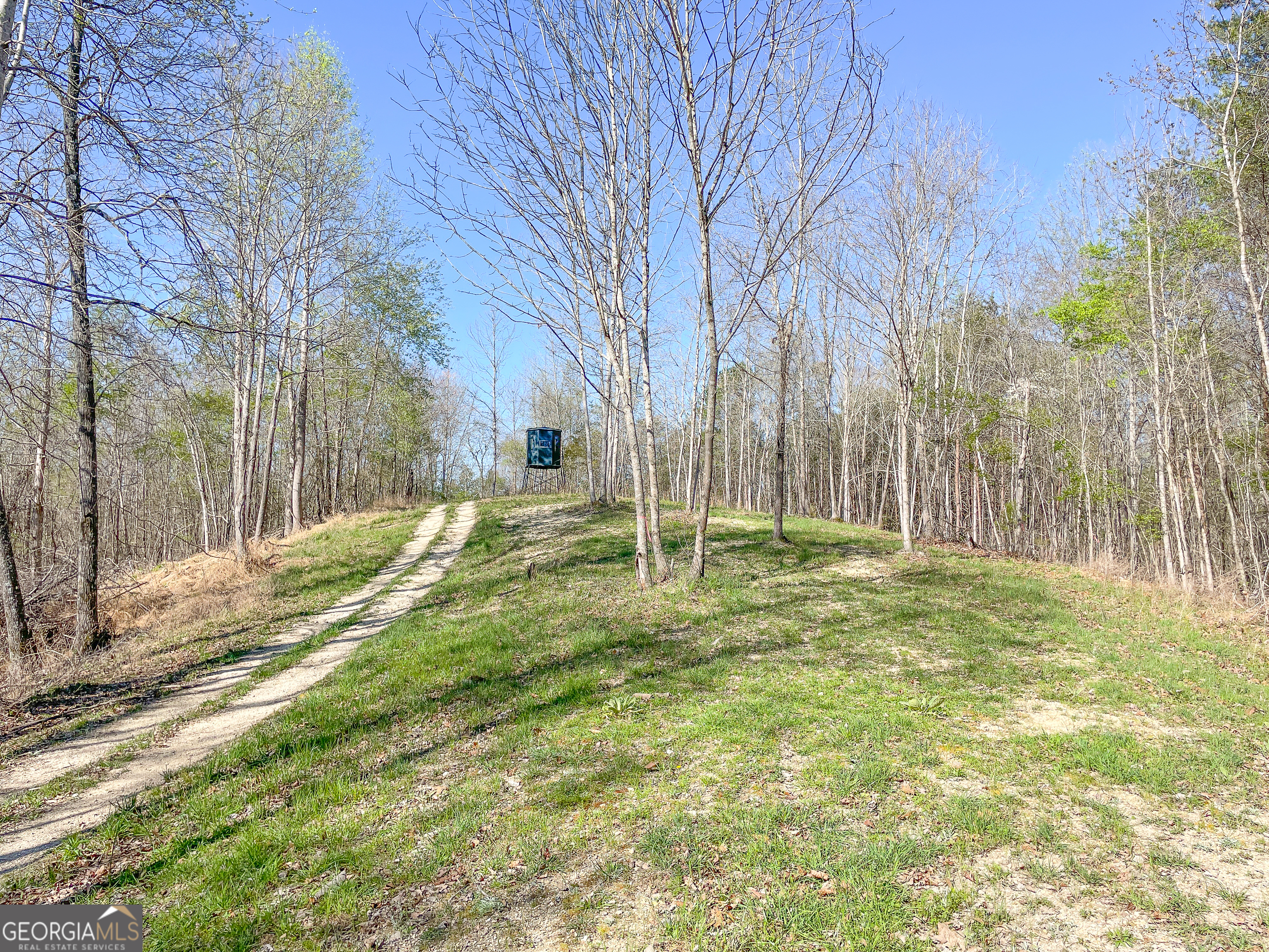 65 Acres On Half Mile Road Lyerly, GA 30730 - Photo 10 of 51 a view of yard with tree