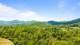 1958 Branam Hill Road Jellico, TN 37762 - Photo 3 of 42 04-1958 Branam Hill Rd Small