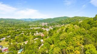1958 Branam Hill Road Jellico, TN 37762 - Photo 41 of 42 42-1958 Branam Hill Rd Small
