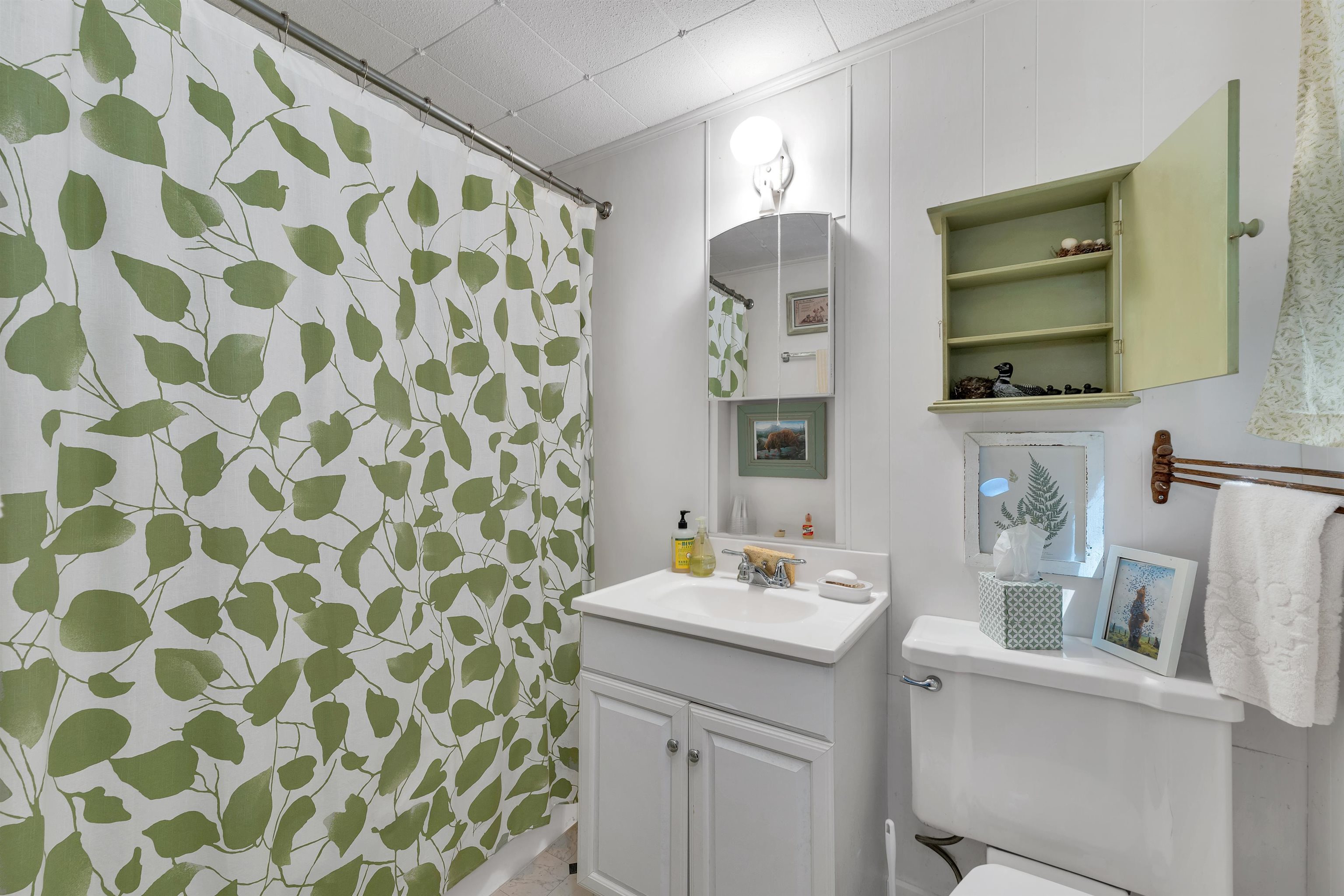 6 Bear Island Meredith, NH 03253 - Photo 30 of 40