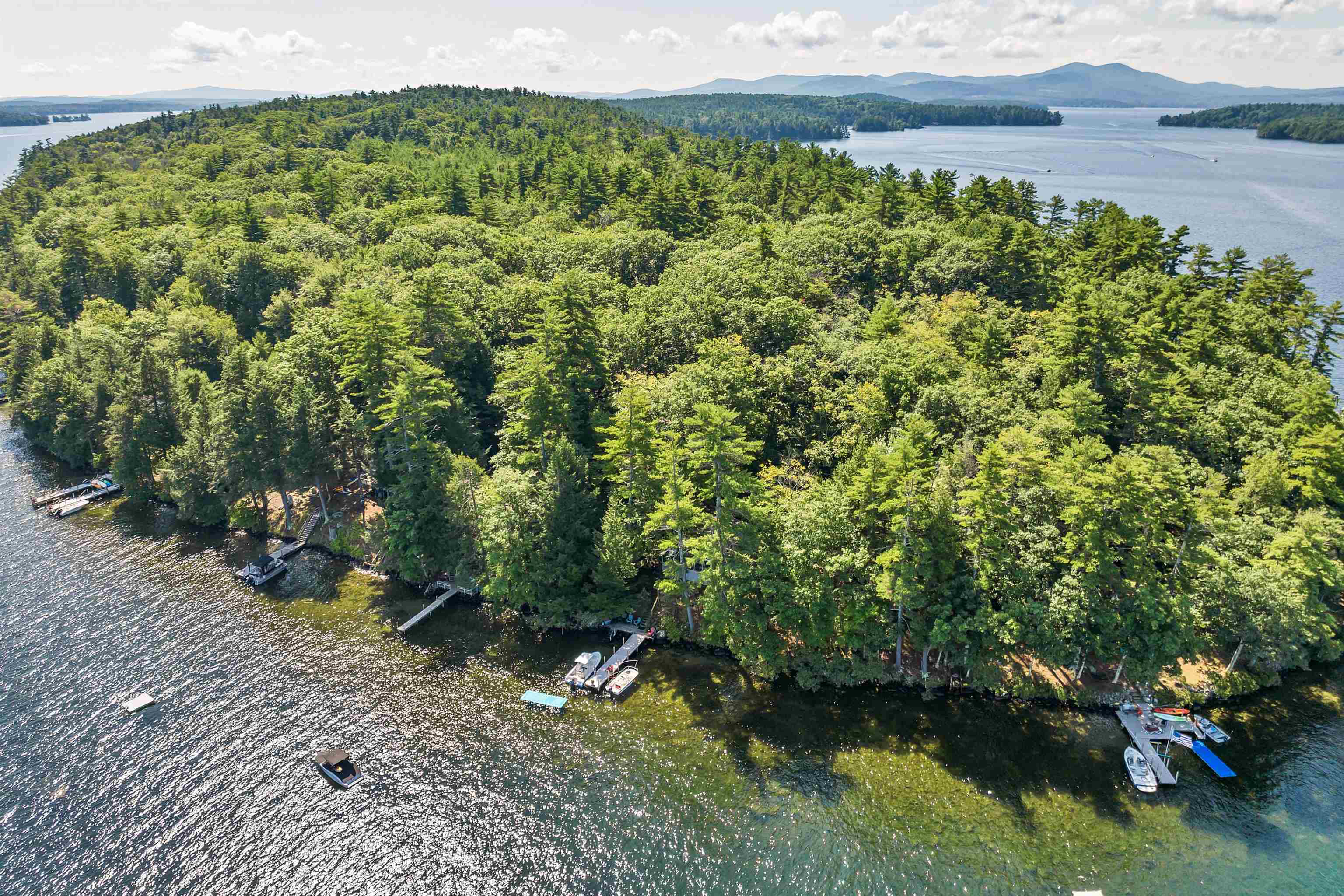 6 Bear Island Meredith, NH 03253 - Photo 37 of 40