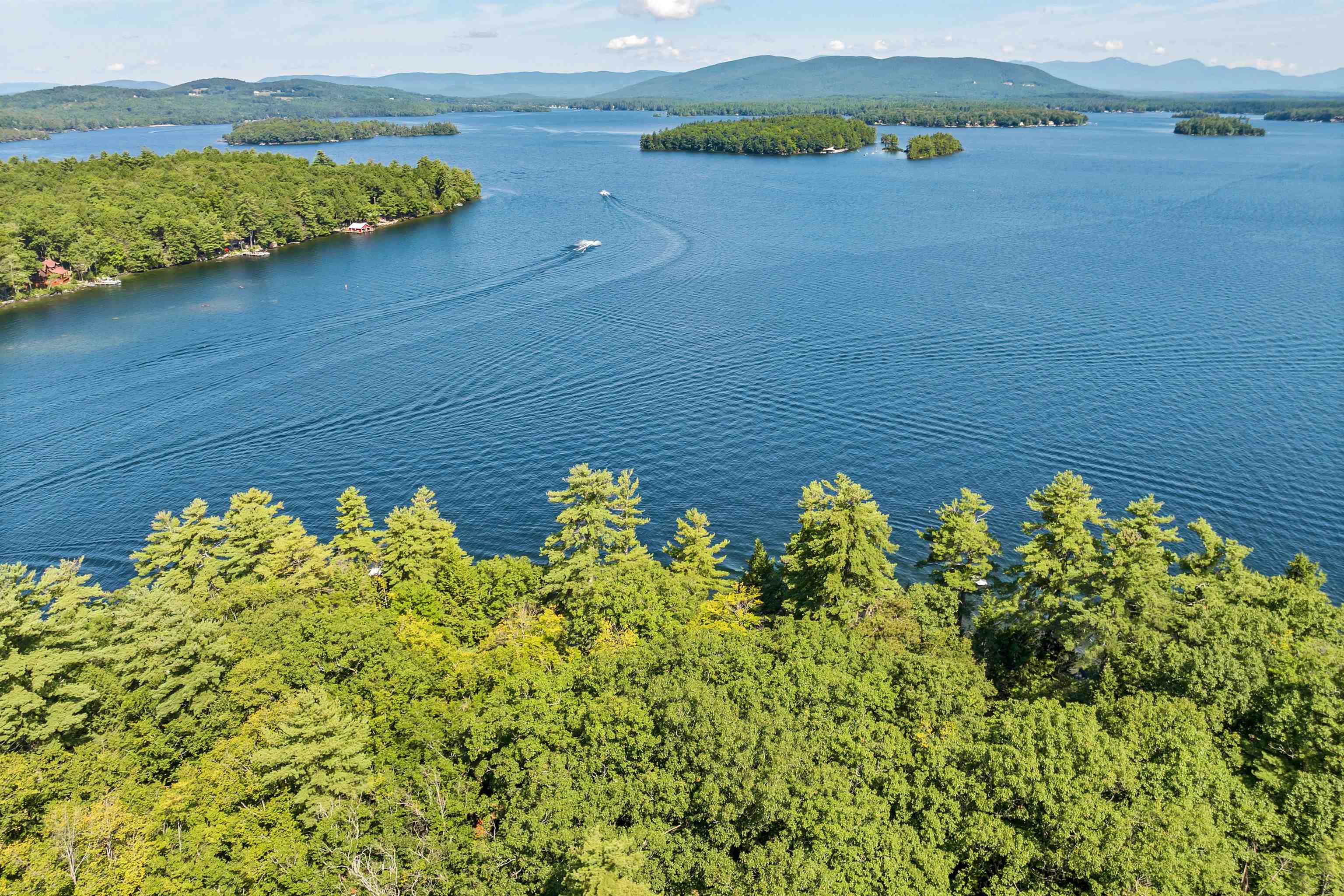 6 Bear Island Meredith, NH 03253 - Photo 40 of 40