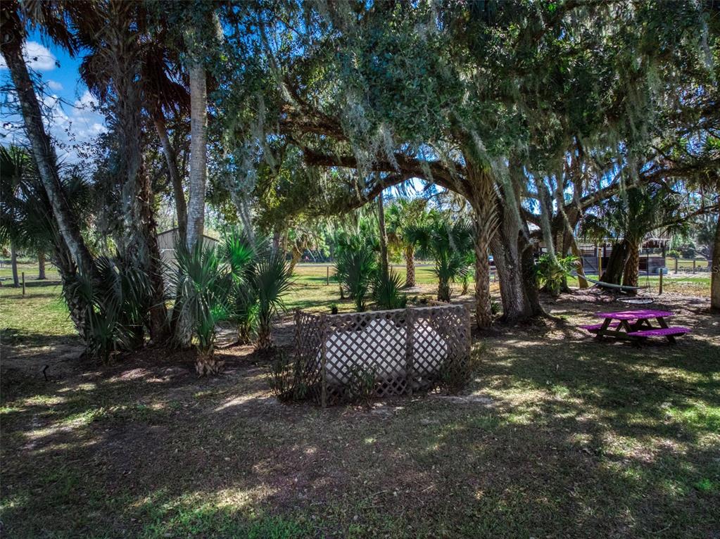 15405 Old Parker Island Road Lake Placid, FL 33852 - Photo 20 of 39 a view of outdoor space and garden