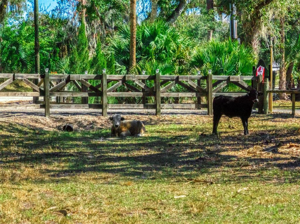 15405 Old Parker Island Road Lake Placid, FL 33852 - Photo 25 of 39 a backyard of a house with table and chairs