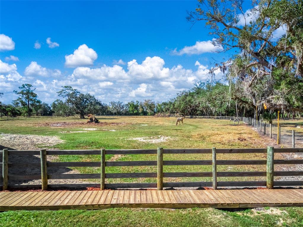 15405 Old Parker Island Road Lake Placid, FL 33852 - Photo 26 of 39 a view of a yard with a lake view