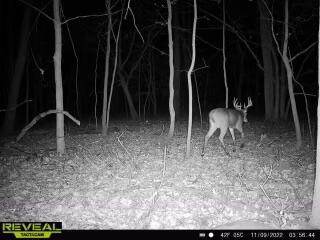 N6291 Sunset Road Concord, WI 53094 - Photo 6 of 9 Prime hunting