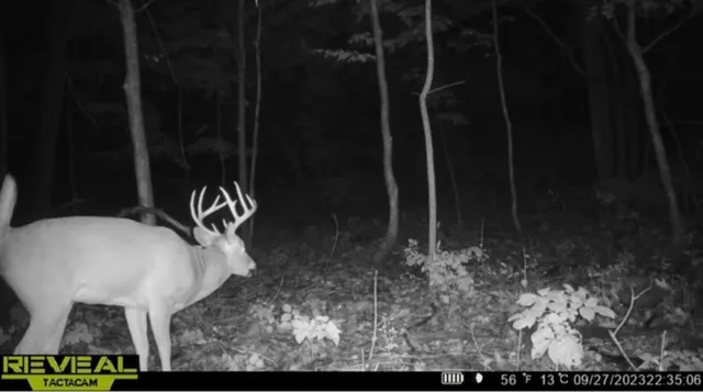 $1,089,700 | N6291 Sunset Road, Concord, WI 53094