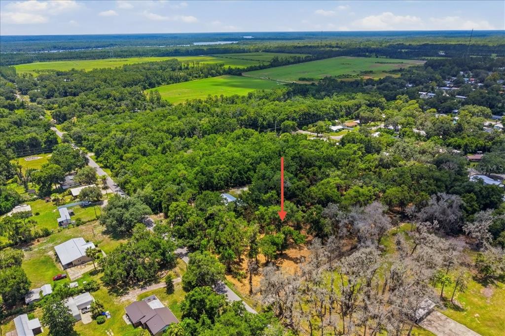 2800 Lundy Road Palatka, FL 32177 - Photo 6 of 17