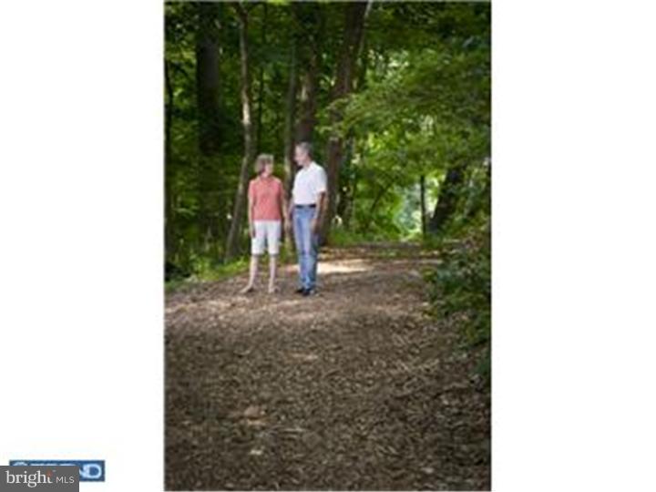 230 Valley Ridge Road Haverford, PA 19041 - Photo 15 of 15 a view of a yard
