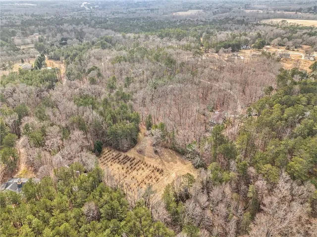 $1,061,200 | 490 Dorsey Road, Hampton, GA 30228