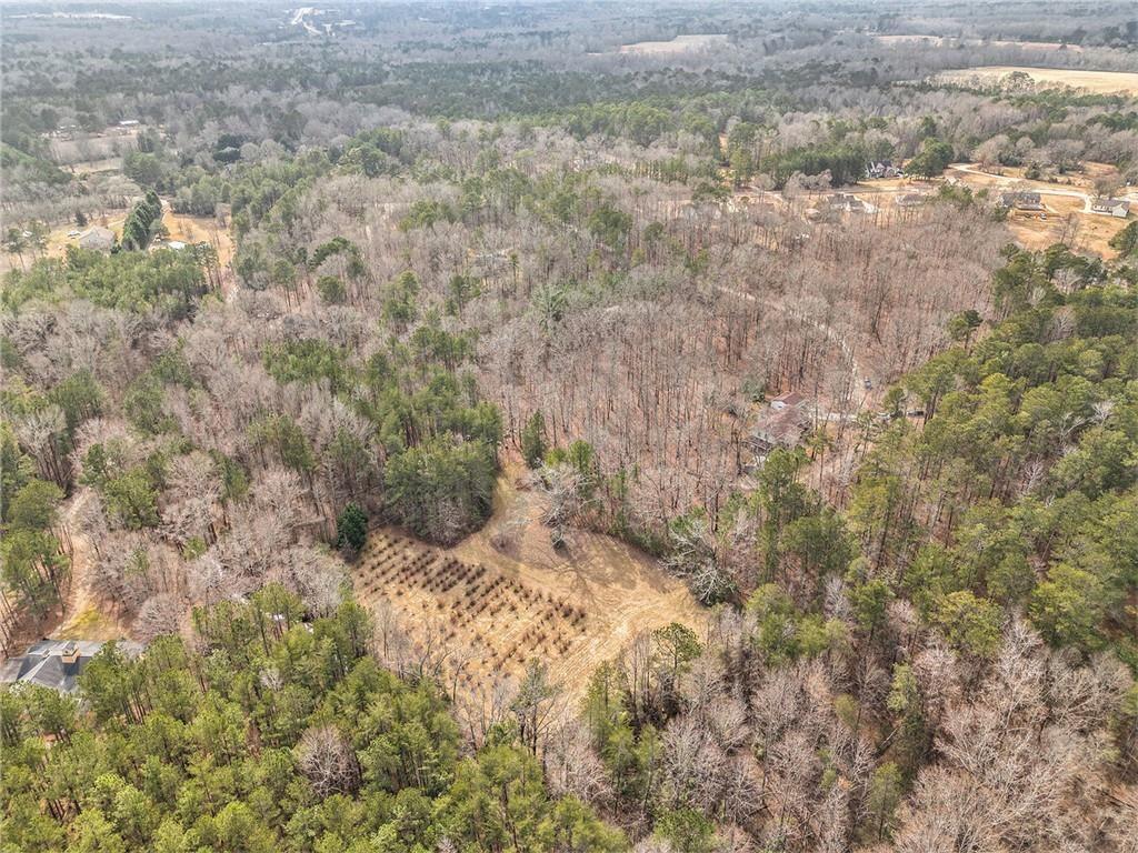 490 Dorsey Road Hampton, GA 30228 - Photo 53 of 63