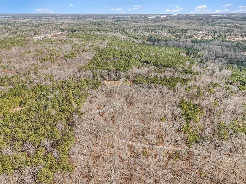490 Dorsey Road Hampton, GA 30228 - Photo 58 of 63 a view of a field with trees in the background