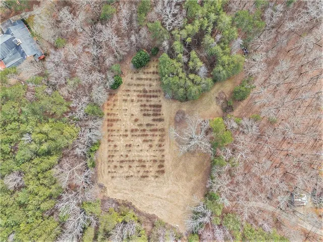 $1,061,200 | 490 Dorsey Road, Hampton, GA 30228