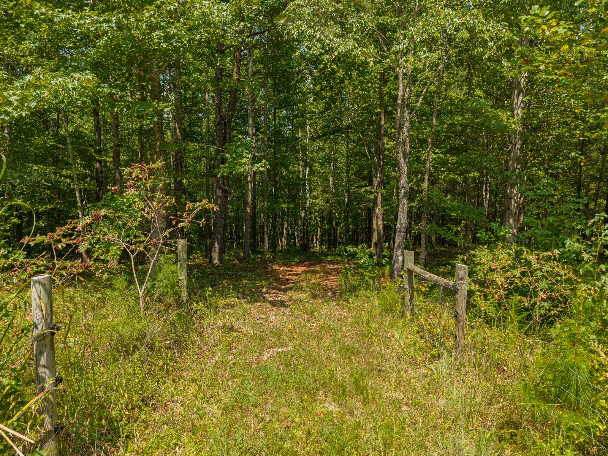 1241 Johnson Branch Road Pulaski, TN 38478 - Photo 76 of 91 Gallery Image 76