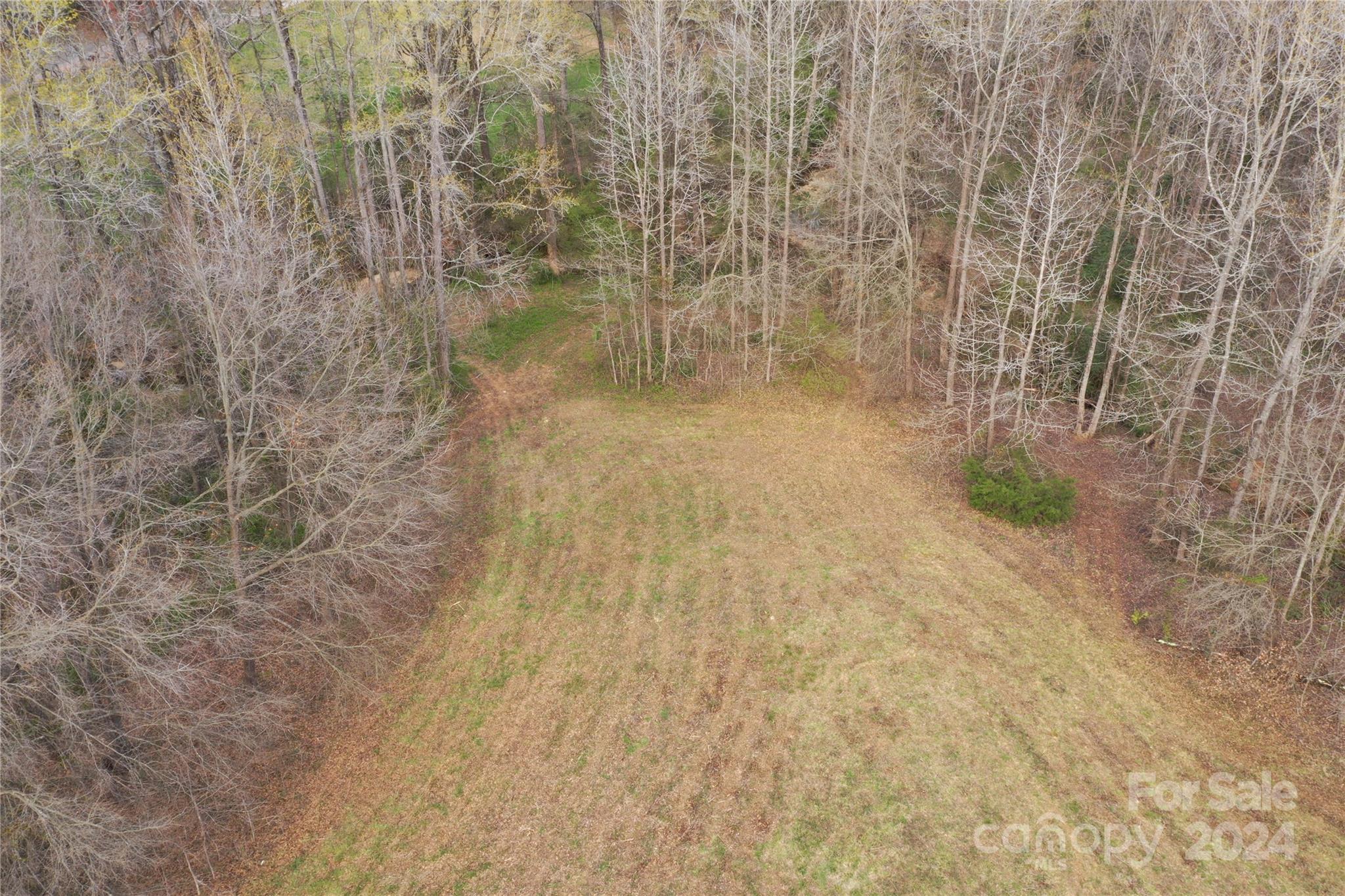 Tbd Patrick Avenue Shelby, NC 28152 - Photo 3 of 17