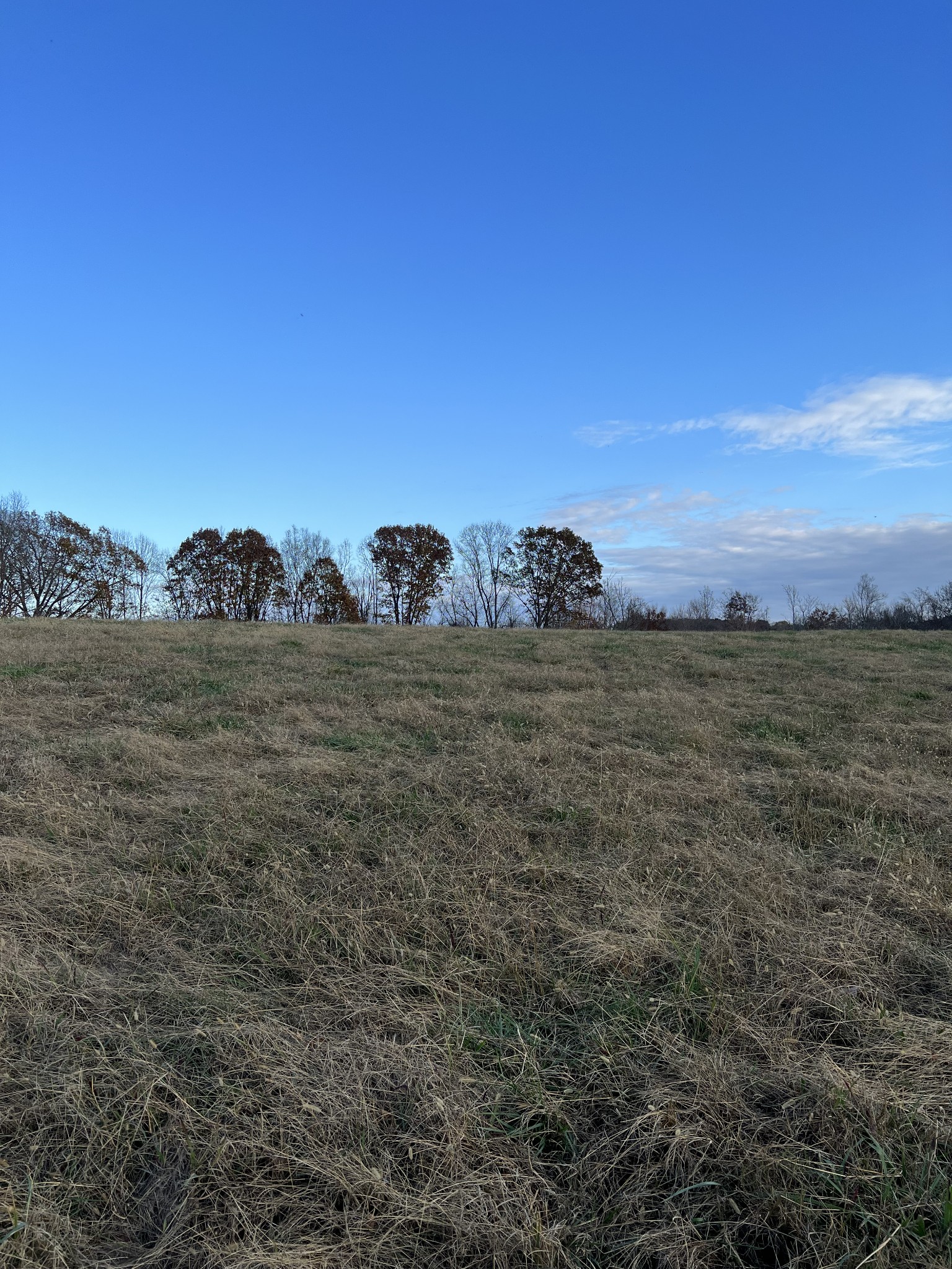 0 Sunrise Road Red Boiling Springs, TN 37150 - Photo 3 of 3 a view of a field with an ocean view
