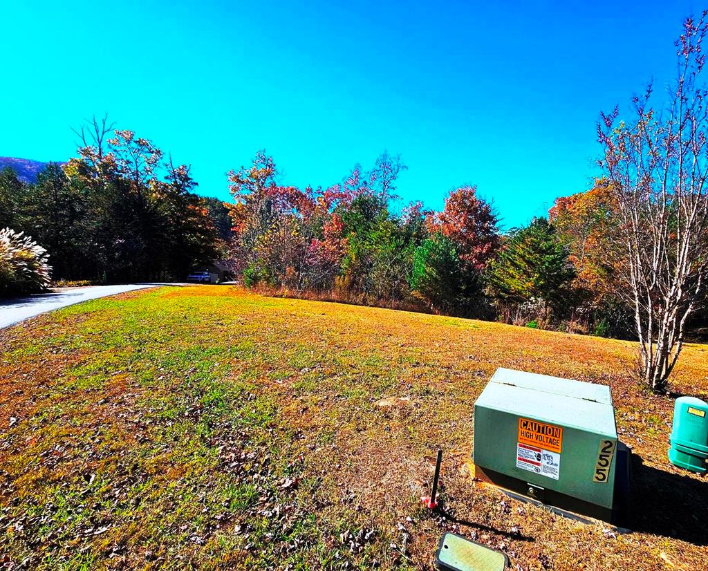 Lot 100 Northeast Pin Oak Ridge Murphy, NC 28906 - Photo 8 of 18 Gallery Image 8