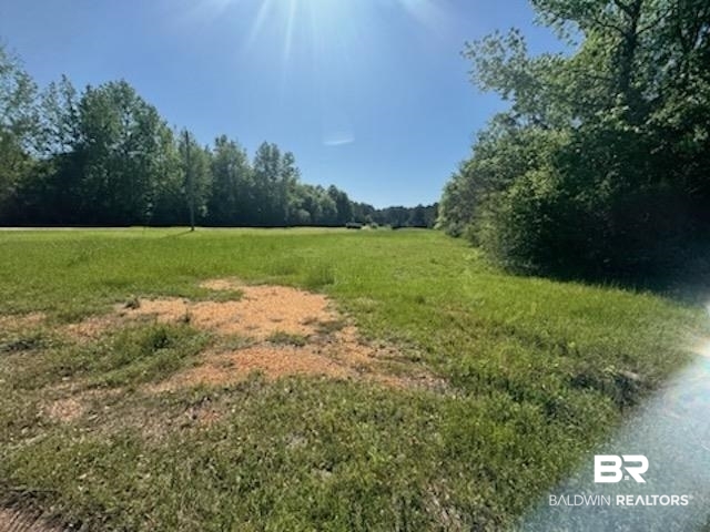0 Clearview Road Flomaton, AL 36441 - Photo 3 of 6 View of landscape